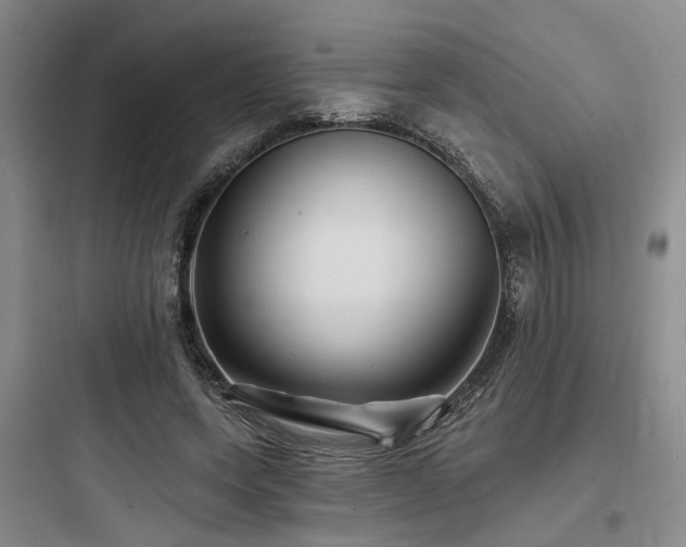 X0000097990543200803241343