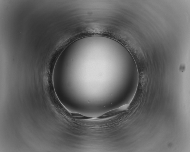 X0000097990544200803241344