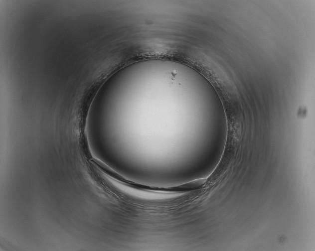 X0000097990546200803241344