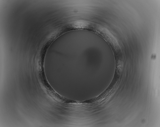 X0000097990547200803241344