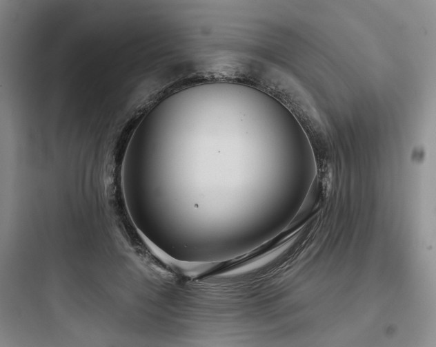X0000097990548200803241344