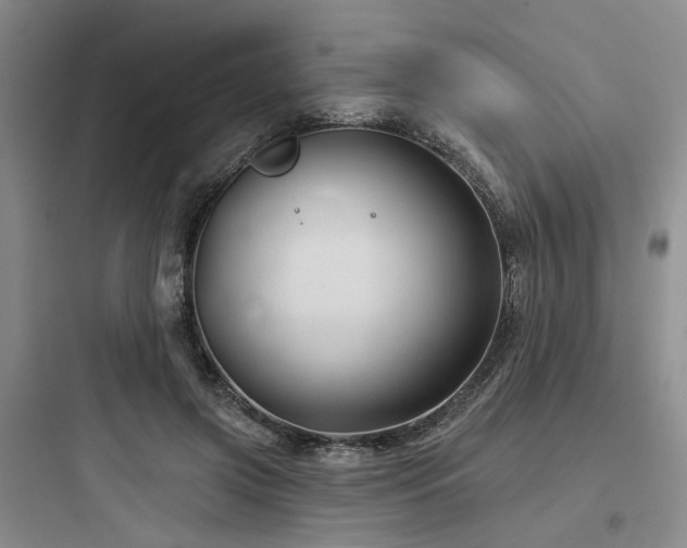X0000097990549200803241344