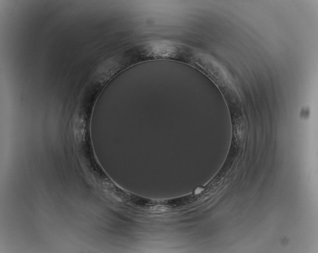 X0000097990551200803241344