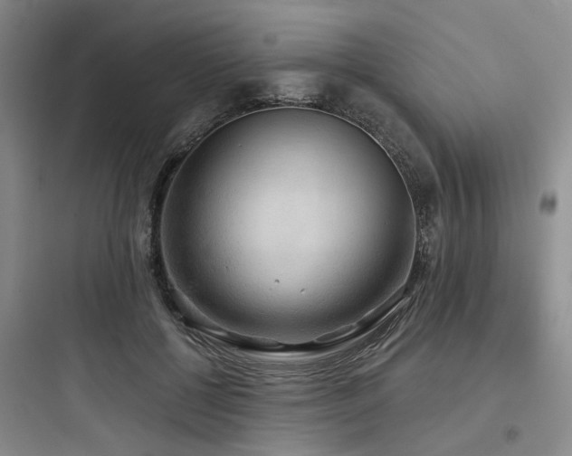 X0000097990552200803241344