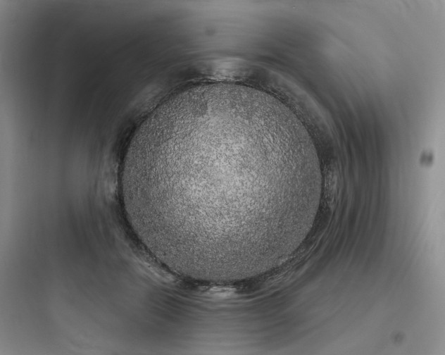 X0000097990554200803241344