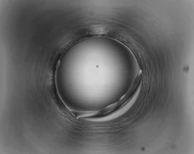 X0000097990556200803241344