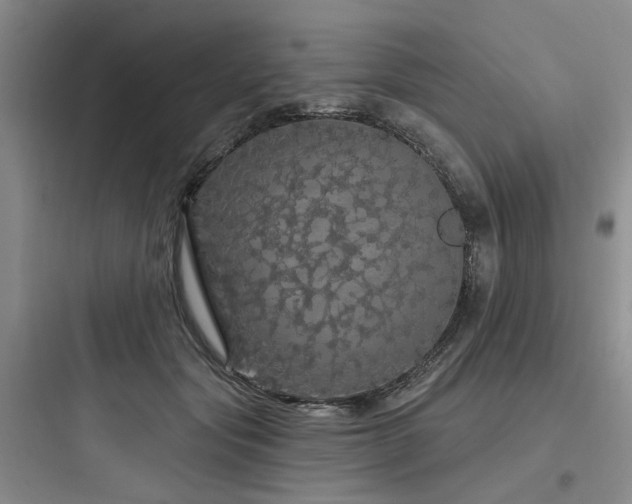 X0000097990557200803241344