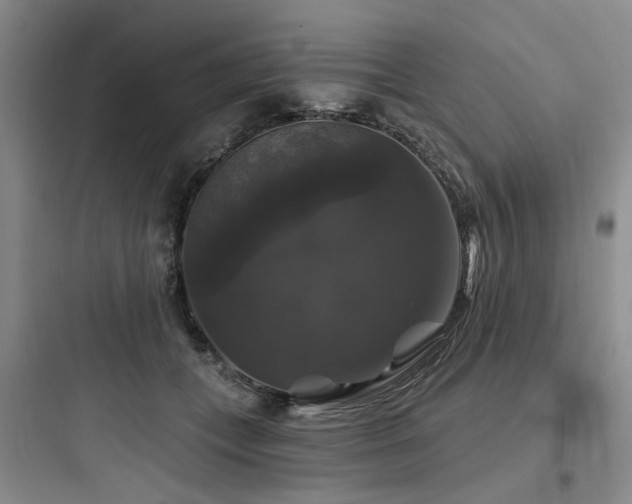 X0000097990559200803241344