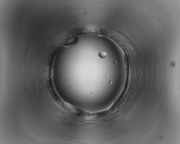 X0000097990560200803241344