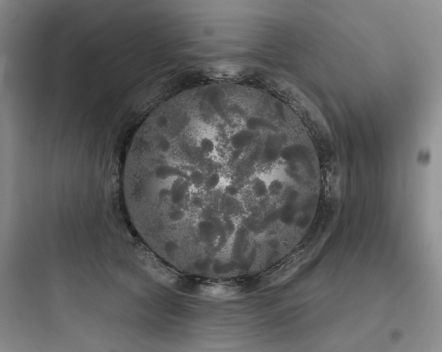 X0000097990561200803241344