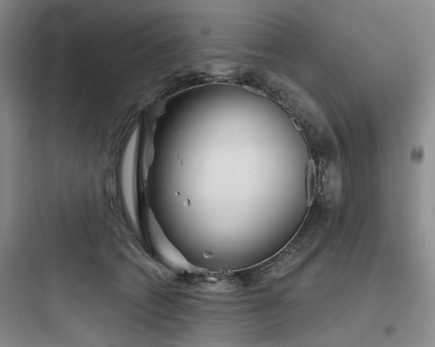 X0000097990562200803241344