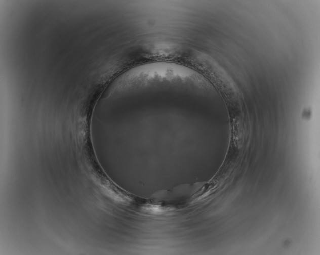 X0000097990563200803241344