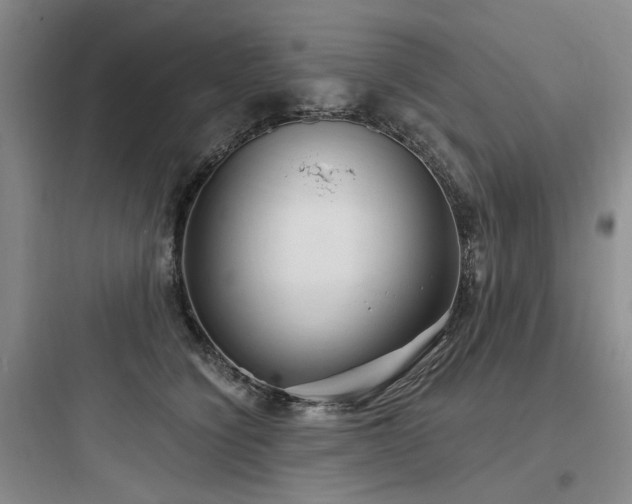 X0000097990564200803241344