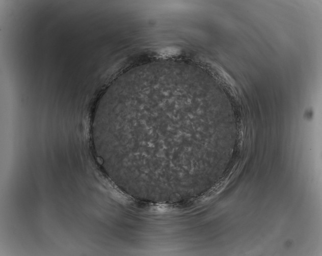 X0000097990565200803241344