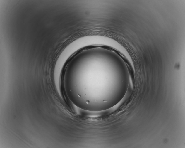 X0000097990566200803241344
