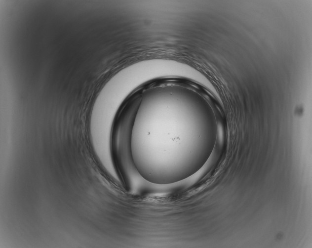 X0000097990568200803241344