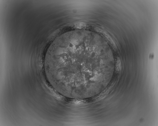 X0000097990569200803241344