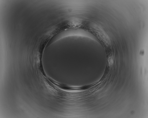 X0000097990570200803241344