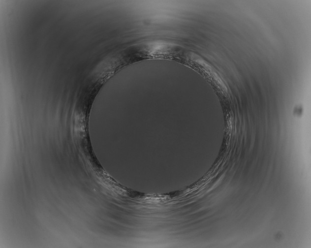 X0000097990571200803241344