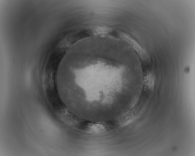 X0000097990572200803241344