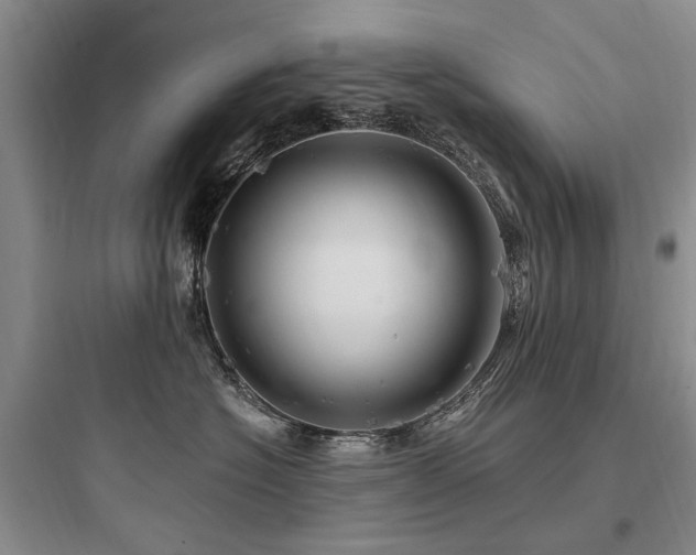 X0000097990574200803241344