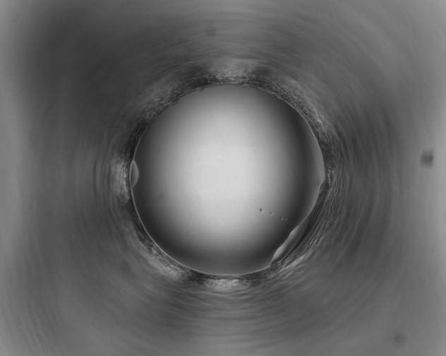 X0000097990575200803241344
