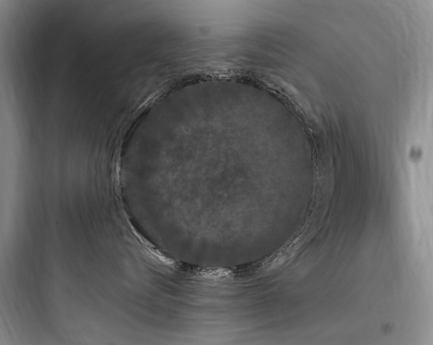 X0000097990576200803241344