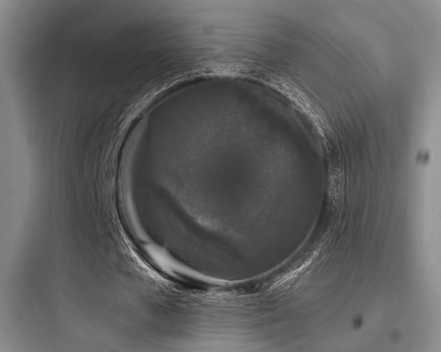 X0000097990577200803241343