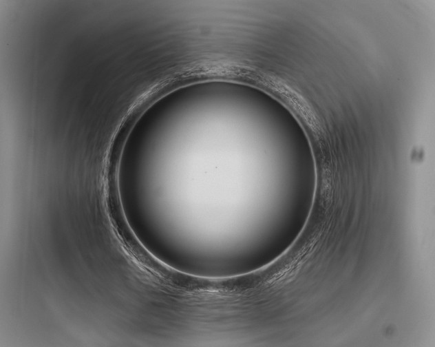 X0000097990578200803241343