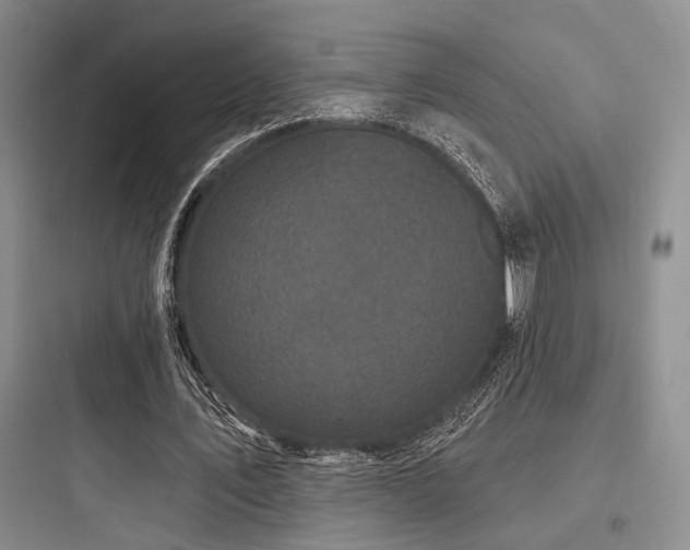 X0000097990579200803241343