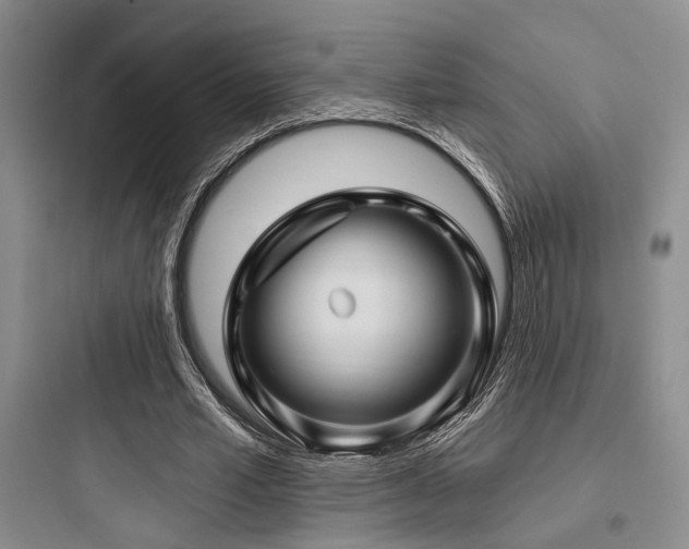 X0000097990581200803241343