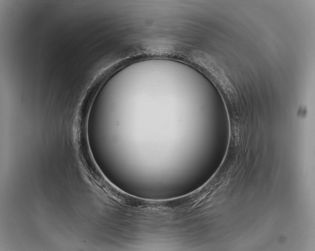 X0000097990583200803241343