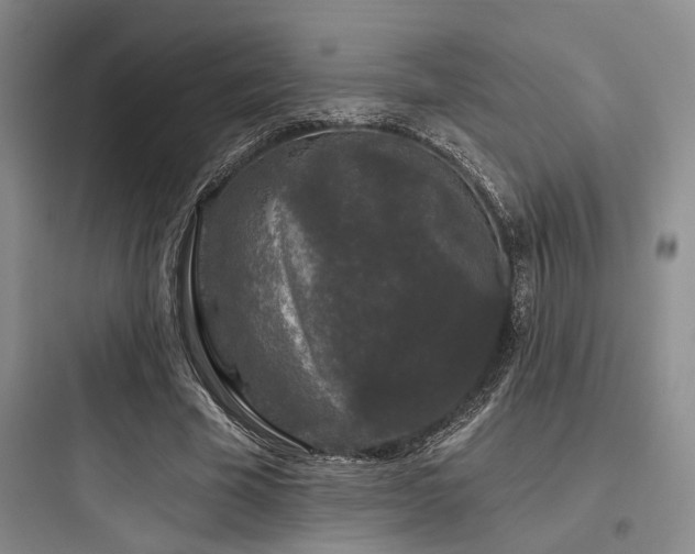 X0000097990585200803241343