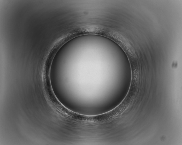 X0000097990587200803241343