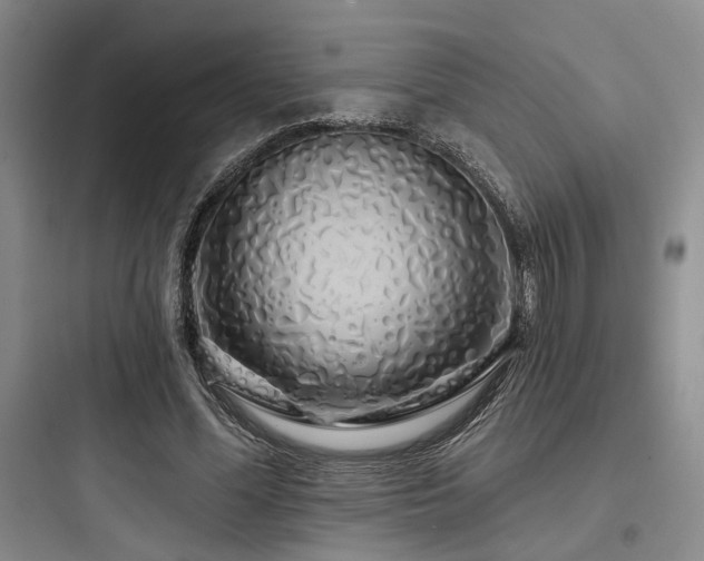 X0000097990588200803241343