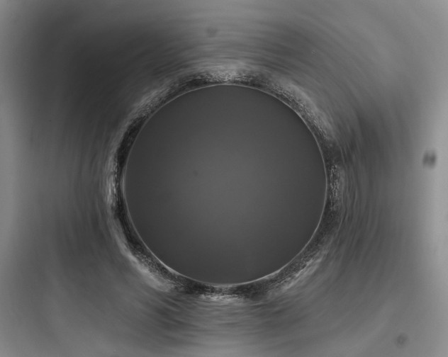 X0000097990590200803241343