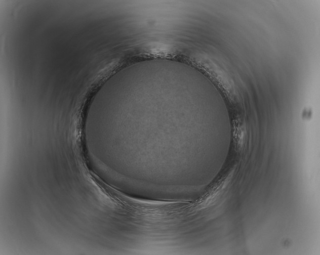 X0000097990593200803241343