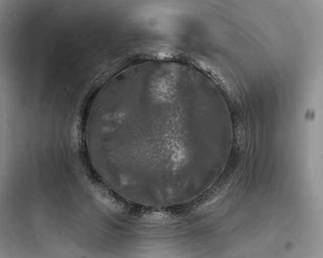 X0000097990594200803241343