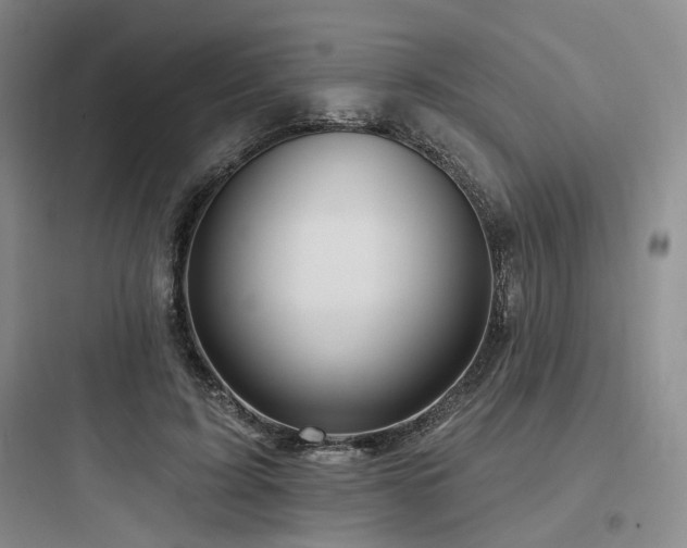X0000097990595200803241343