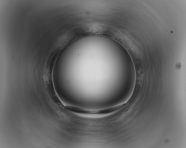X0000097990597200803241343
