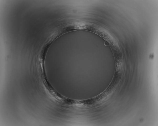 X0000097990598200803241343