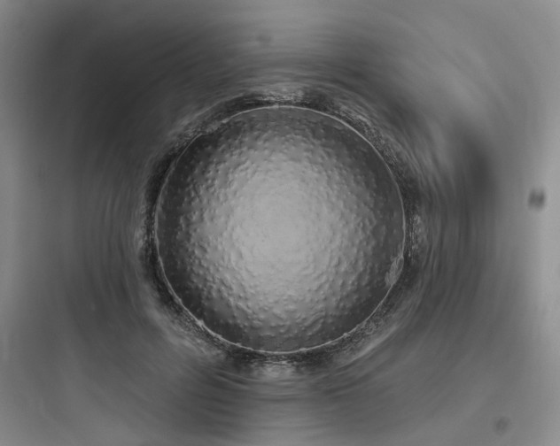 X0000097990600200803241343