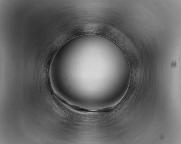X0000097990601200803241343