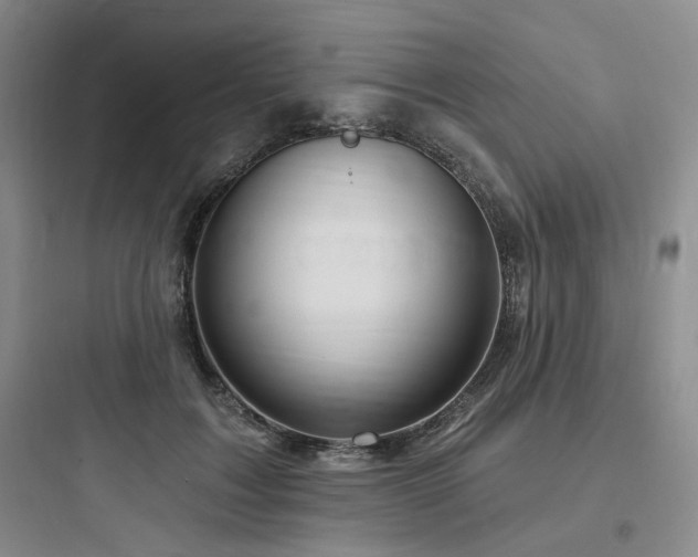 X0000097990603200803241343