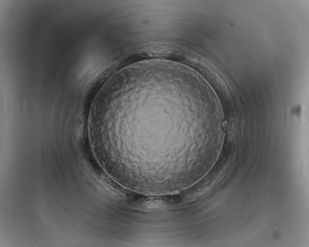 X0000097990604200803241343
