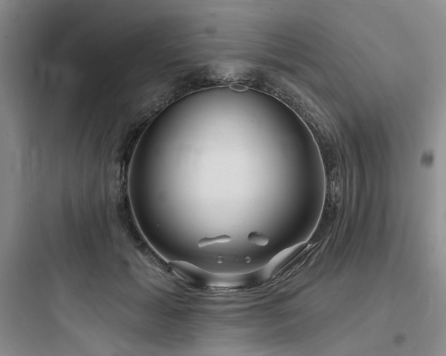 X0000097990605200803241343
