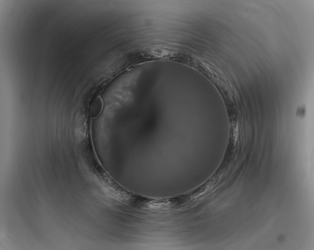 X0000097990606200803241343