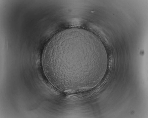X0000097990608200803241343
