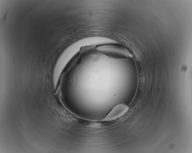 X0000097990609200803241343