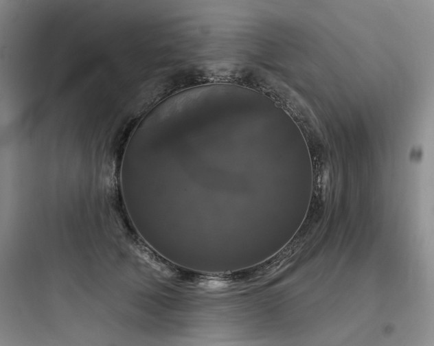 X0000097990610200803241343